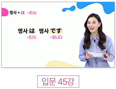 입문